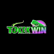 TOKEKWIN - Aplikasi Chat Encrypted Terpercaya